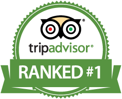 TripAdvisor Badge