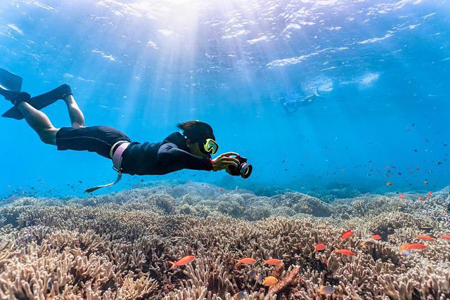 Best Places To Go Snorkeling On Big Island