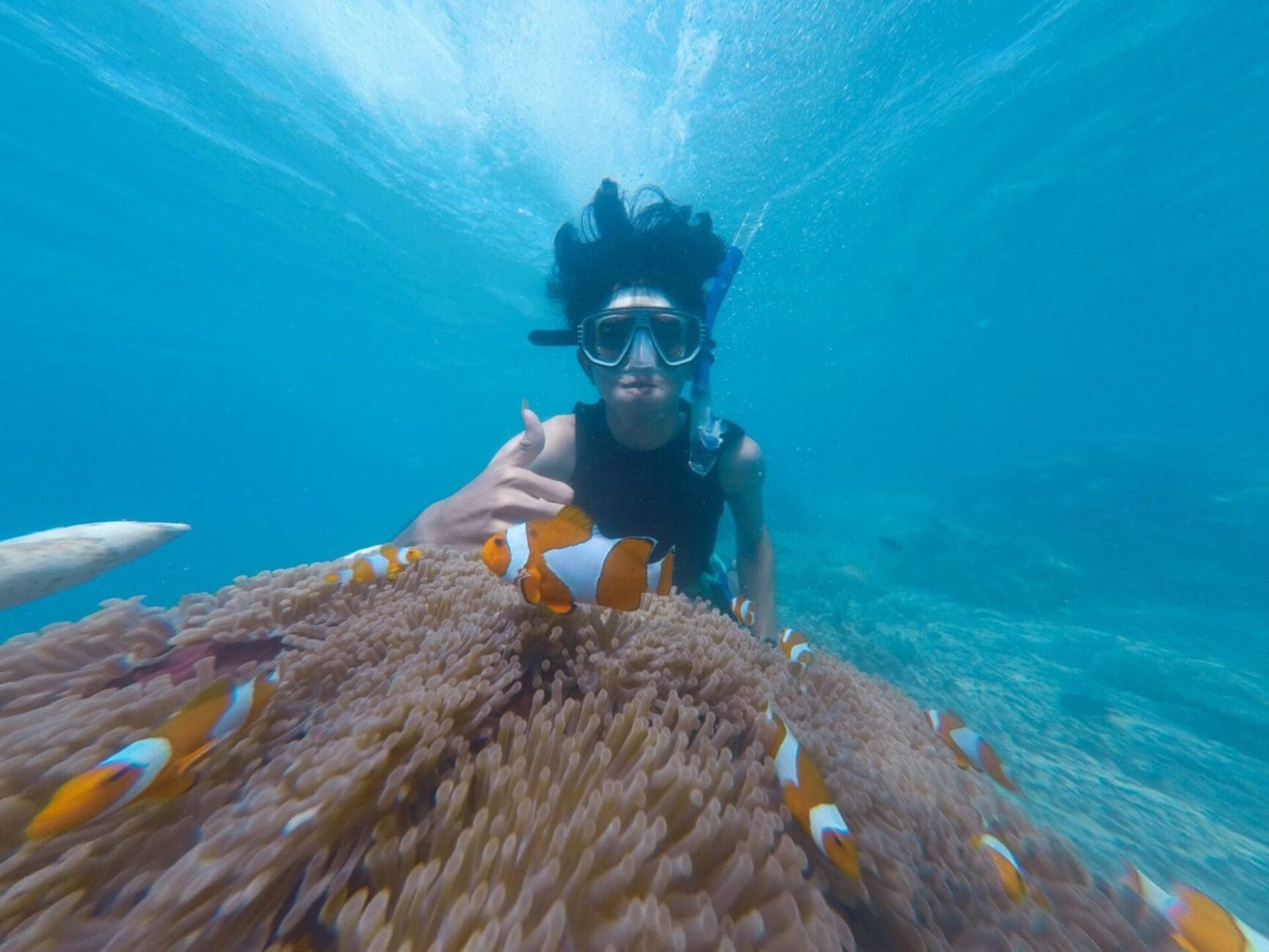 Best Spots For Reef Snorkeling Near Me In Kona