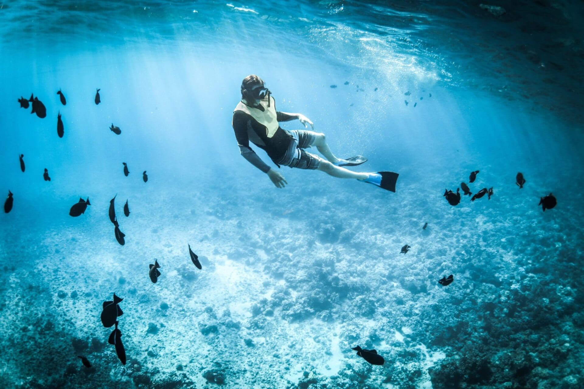 5 Best Snorkeling Spots In Kona
