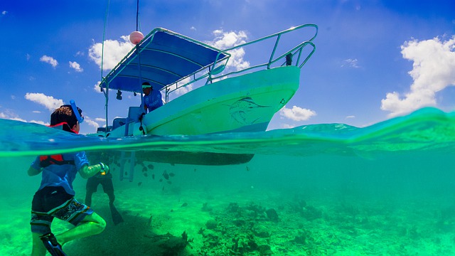 Top 13 Tips for Snorkeling in Kona