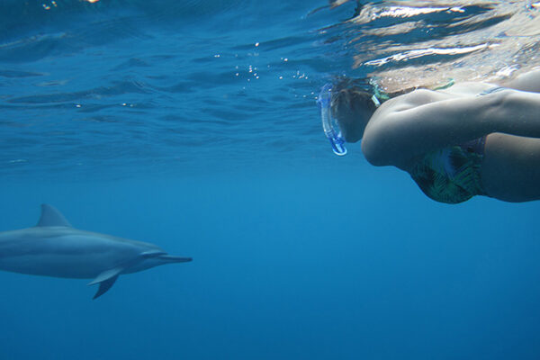 Manta Ray & Kona Ocean Tours | Sunlight on the Water