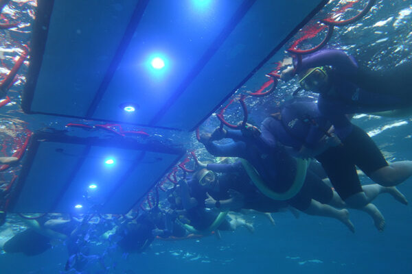 Manta Ray & Kona Ocean Tours | Sunlight on the Water