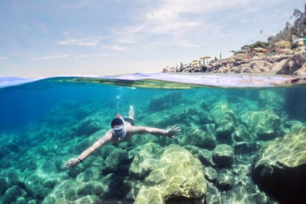 Manta Ray & Kona Ocean Tours | Sunlight on the Water