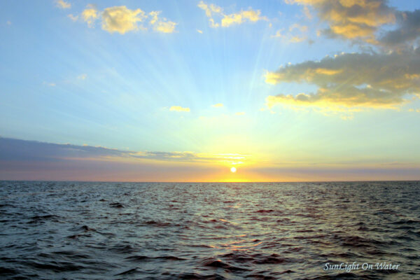 Manta Ray & Kona Ocean Tours | Sunlight on the Water